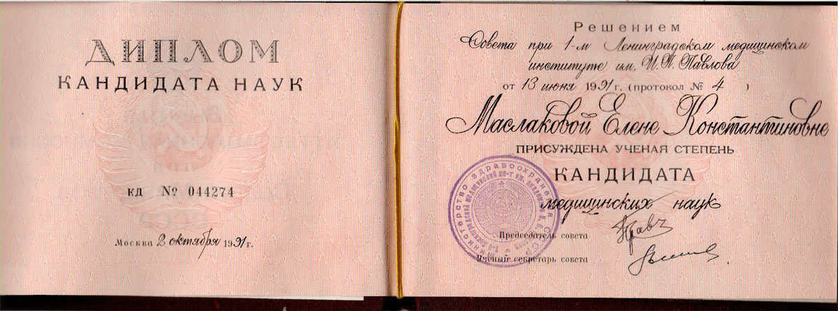 Диплом Е.К.